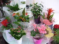 Expressions Florists 1093381 Image 2